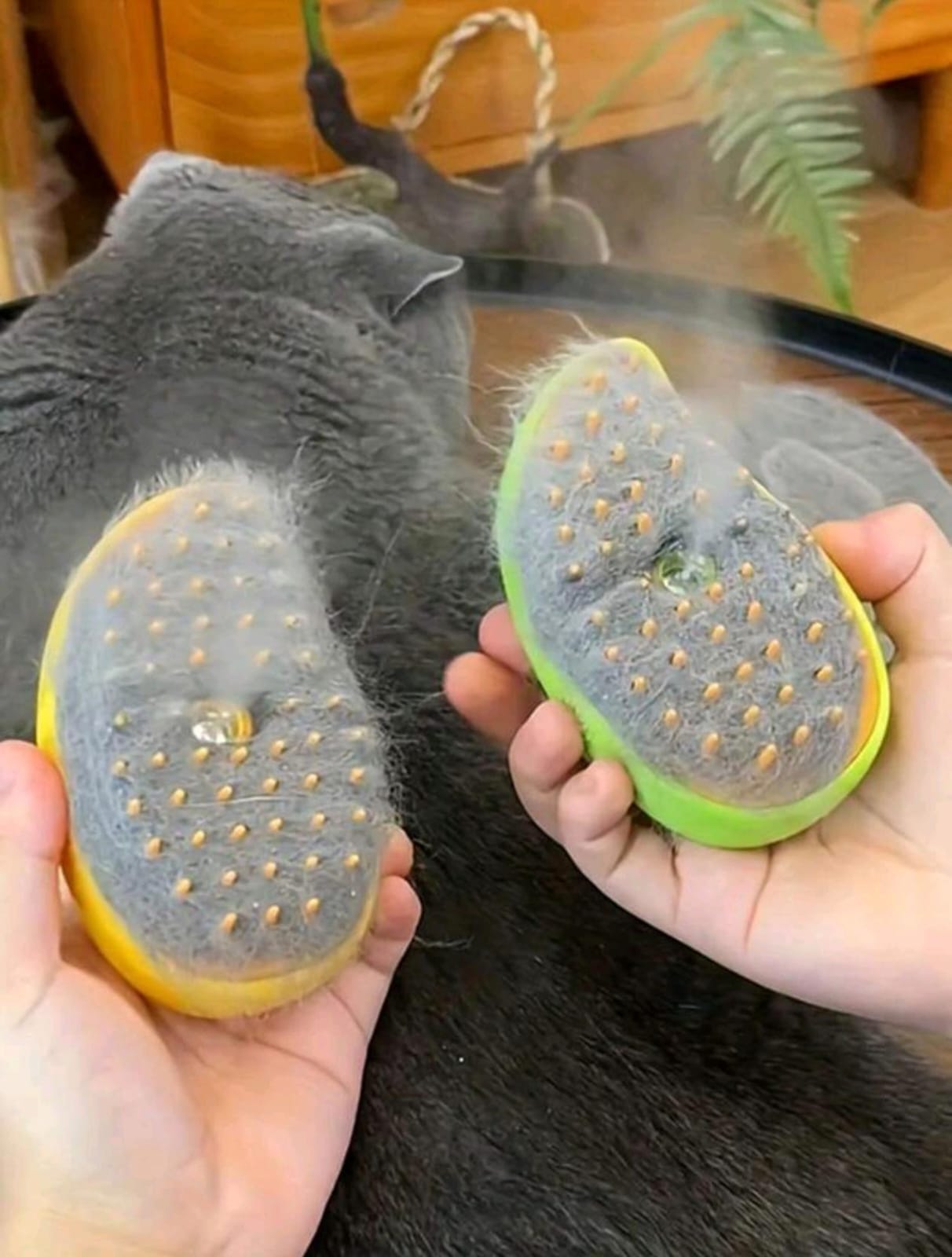 Cepillo con vapor para mascota
